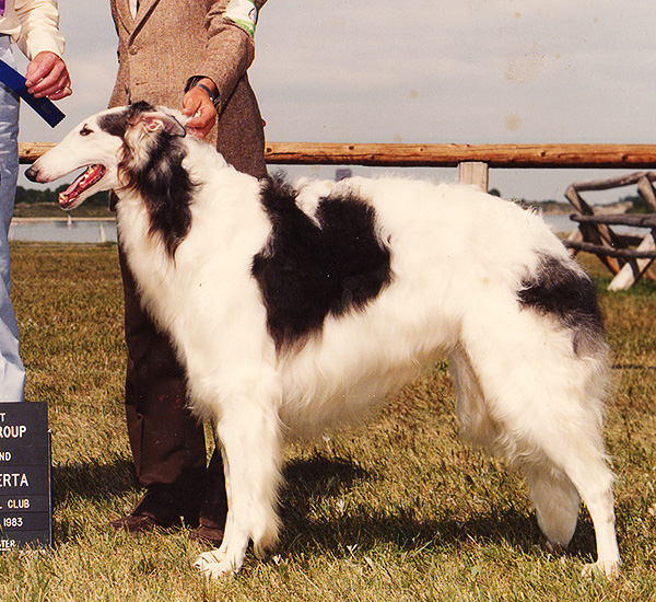 Borzoi Canada 1983 National Best in Specialty