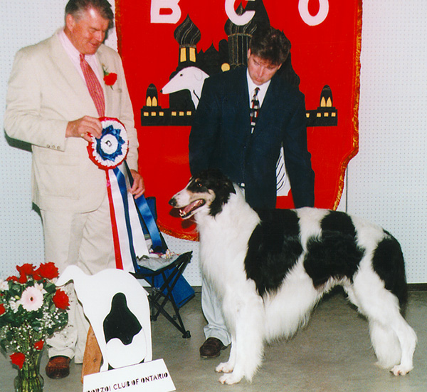 Borzoi Club of Ontario 1999 Best in Specialty