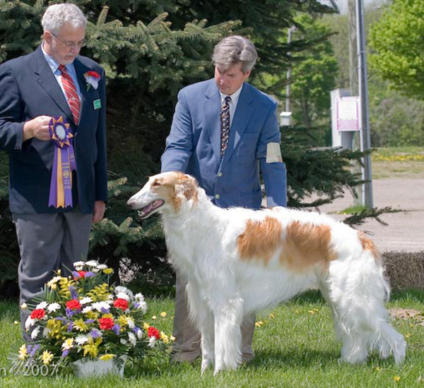 Borzoi Canada 2007 National Best of Breed