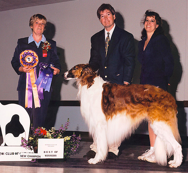 Borzoi Club of Ontario 2001 Best of Winners and Winners Dog