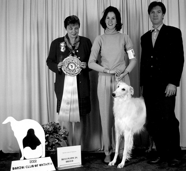 Borzoi Club of Ontario 2002 Best Puppy